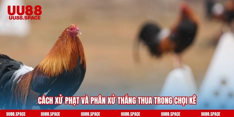 Cách xử phạt và phân xử thắng thua trong chọi kê