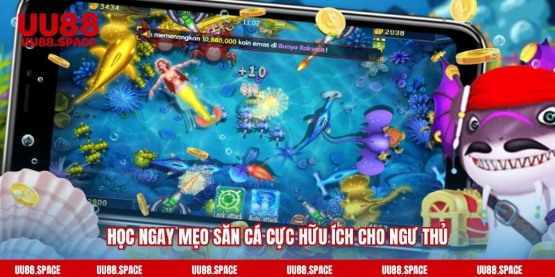 Học ngay mẹo săn cá cực hữu ích cho ngư thủ