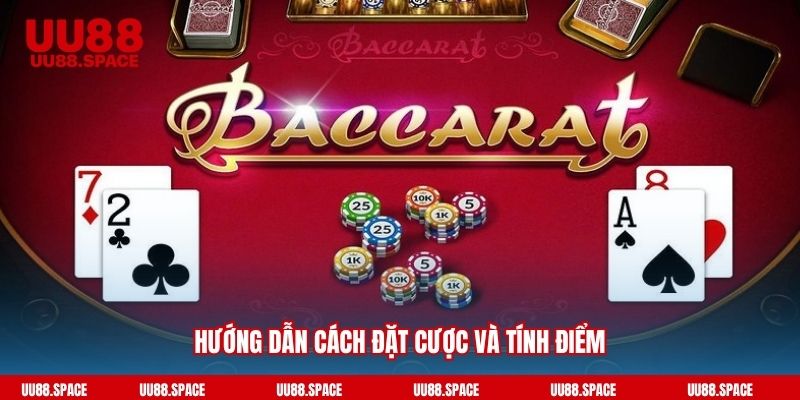 Hướng dẫn cách đặt cược và tính điểm