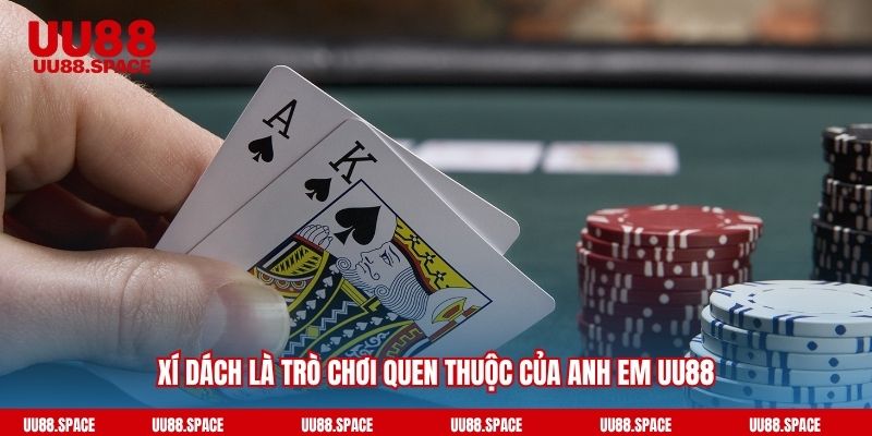Hướng dẫn chơi bài xì dách