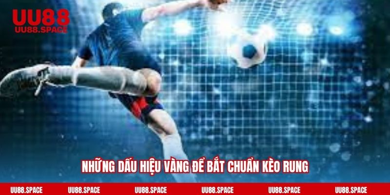 Những dấu hiệu vàng để bắt chuẩn kèo rung