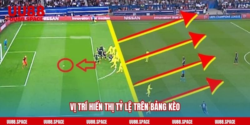 Vị trí hiển thị tỷ lệ trên bảng kèo